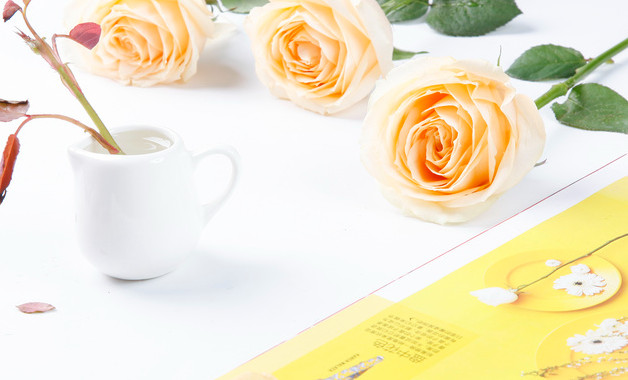 機關(guān)支部黨建工作報告全文十二篇