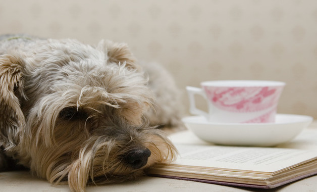 個(gè)人聽(tīng)課心得體會(huì)怎么寫怎么寫(精選8篇)