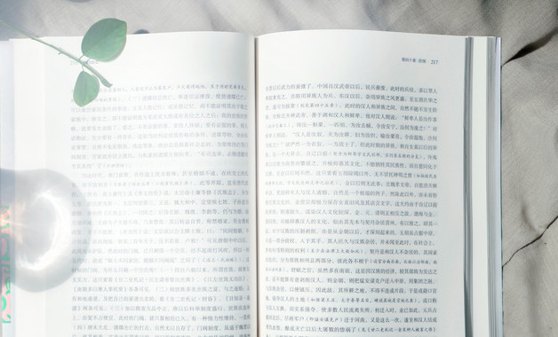 2024市政府辦公室六五普法工作自查報(bào)告十二篇