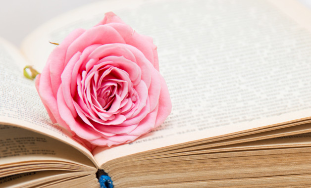 采購采購內(nèi)勤崗位職責(zé)(十二篇)