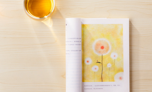 xxxx年行政管理專業(yè)實習(xí)報告十二篇