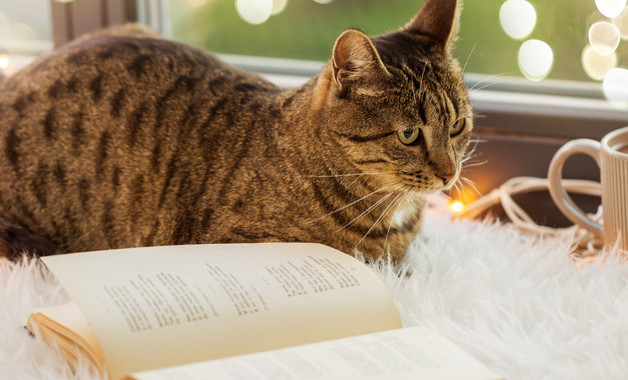 人事主管/人事專員崗位職責(zé)職位要求(4篇范文)