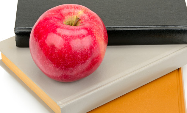 實(shí)習(xí)報(bào)告：會(huì)計(jì)事務(wù)所實(shí)習(xí)周記十二篇