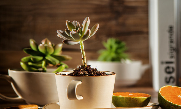 領(lǐng)導(dǎo)個人年度述職報告十二篇