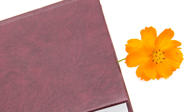 幼兒園教研工作述職報(bào)告樣本八篇