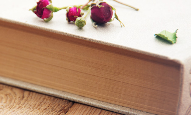 xxxx年公司會(huì)計(jì)述職報(bào)告六篇