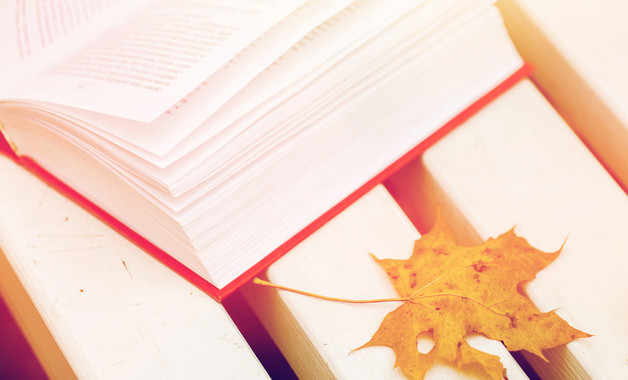 醫(yī)院科主任個人述職報告示例五篇