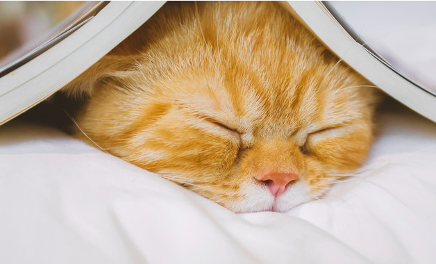 車間主任個人工作總結報告十篇