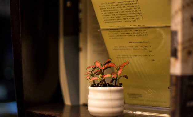 年度述職述廉報(bào)告模板十二篇