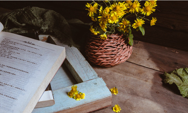 有關(guān)責(zé)任擔(dān)保書模板(16篇范文)