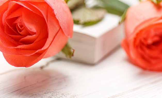 營運(yùn)副總經(jīng)理崗位職責(zé)（六篇）