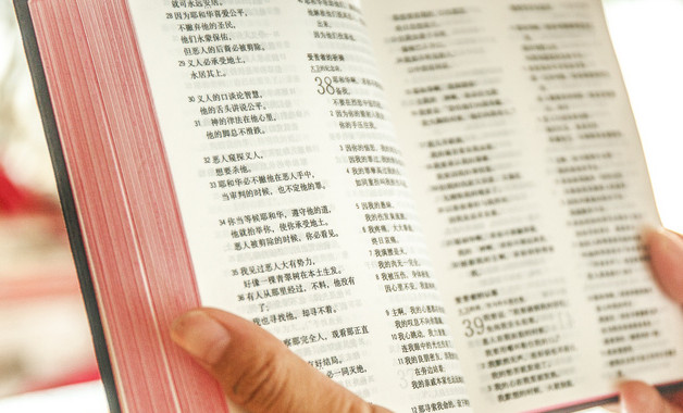 2025年領(lǐng)導(dǎo)干部學習心得體會怎么寫(精選8篇)