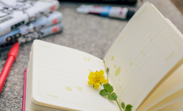 辦公室文員年度實踐報告十一篇