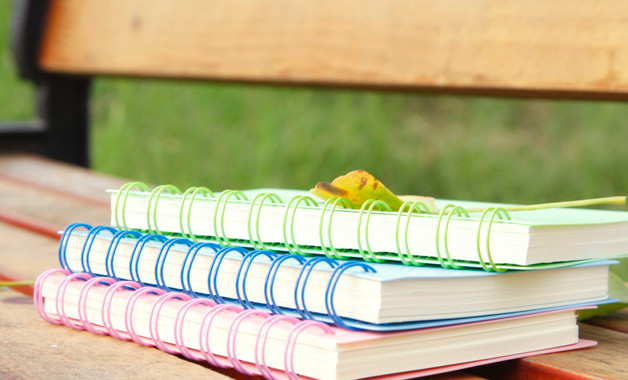 2024年度脫貧攻堅(jiān)工作報(bào)告十二篇