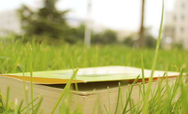 小學(xué)教師暑期培訓(xùn)心得體會(huì)范文怎么寫(xiě)(精選8篇)