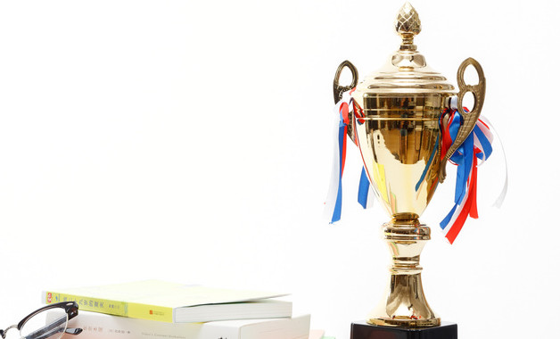 小學(xué)語文教師個人校本研修計劃報告十二篇 小學(xué)語文教師個人校本研修計劃報告十二篇