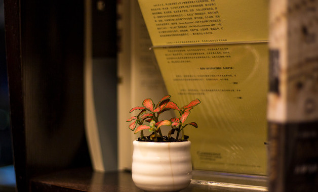 中班教育教學(xué)心得體會(huì)怎么寫(xiě)(精選8篇)