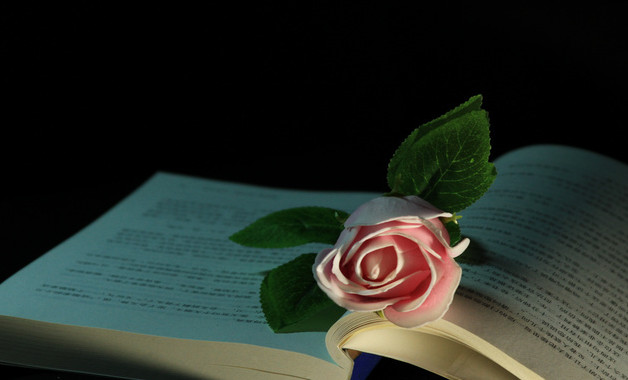 優(yōu)秀護士個人年度述職報告十二篇