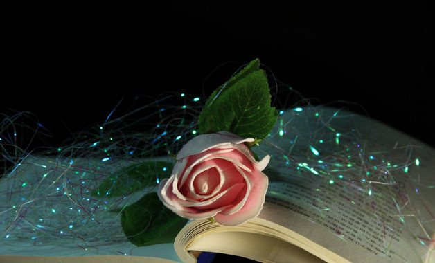 行政部主任崗位職責(zé)內(nèi)容(五篇)