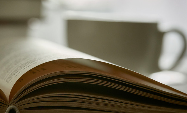 采購員個人年度述職報告十二篇