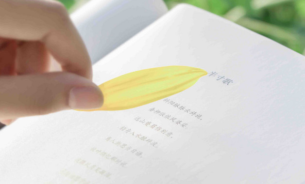 安全檢查工作報(bào)告十二篇