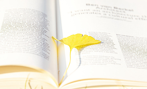 2024企業(yè)中層干部述職報告九篇