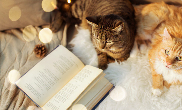 匯報(bào)表演主持詞模板