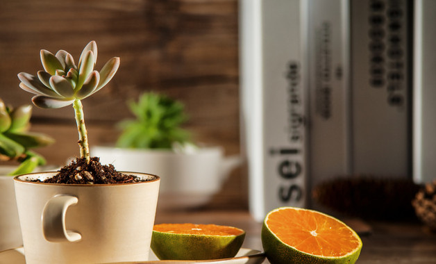 華廈公司簡(jiǎn)介(50篇范文) 華廈公司簡(jiǎn)介(50篇范文)