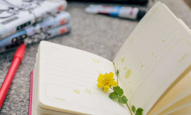 安全學(xué)習(xí)培訓(xùn)心得怎么寫(xiě)(精選8篇)