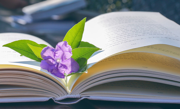 設(shè)計(jì)副總監(jiān)崗位職責(zé)職位要求（2篇范文）