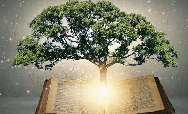 如何寫仲裁申請書模板(16篇范文)