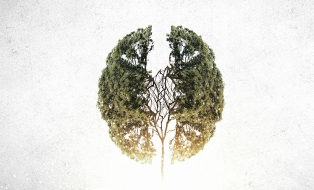 領(lǐng)導(dǎo)個人國企述職述廉報告十二篇