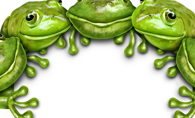 會(huì)計(jì)崗位薪酬調(diào)查報(bào)告十二篇