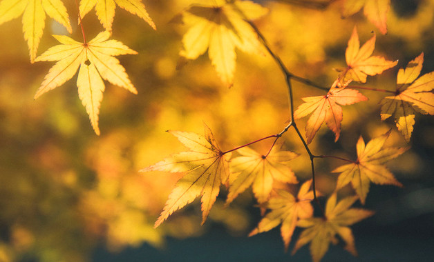 地下停車場崗位職責(zé)(3篇范文)