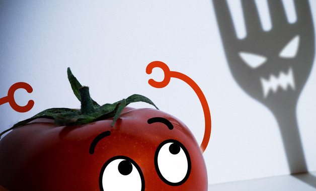 財務(wù)會計年終工作總結(jié)模板十篇 財務(wù)會計年終工作總結(jié)模板十篇