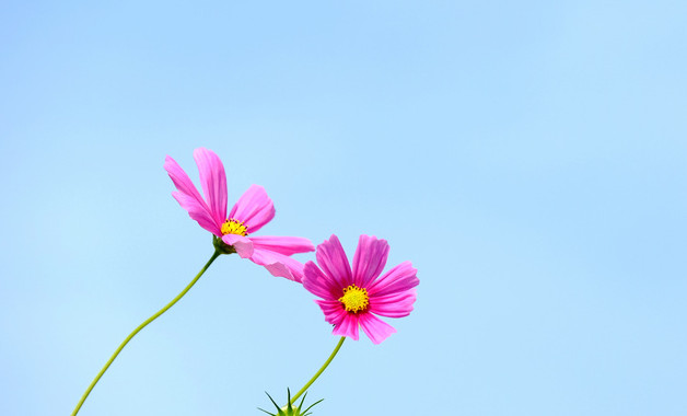 初中畢業(yè)典禮主持詞模板(7篇范文) 初中畢業(yè)典禮主持詞模板(7篇范文)