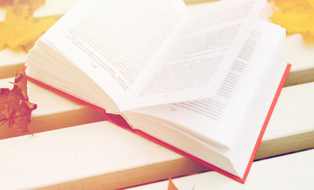 銀行主任競聘報(bào)告精選十二篇