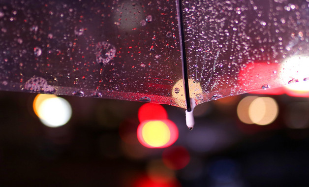 霧都孤兒讀書感悟作文怎么寫(精選8篇) 霧都孤兒讀書感悟作文怎么寫(精選8篇)