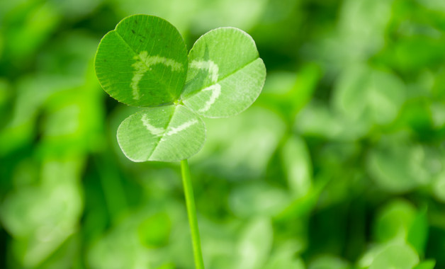 鋼琴公司簡介(50篇范文) 鋼琴公司簡介(50篇范文)