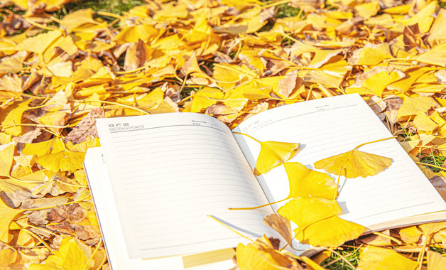 學(xué)習(xí)高效課堂教學(xué)心得體會怎么寫(精選5篇)